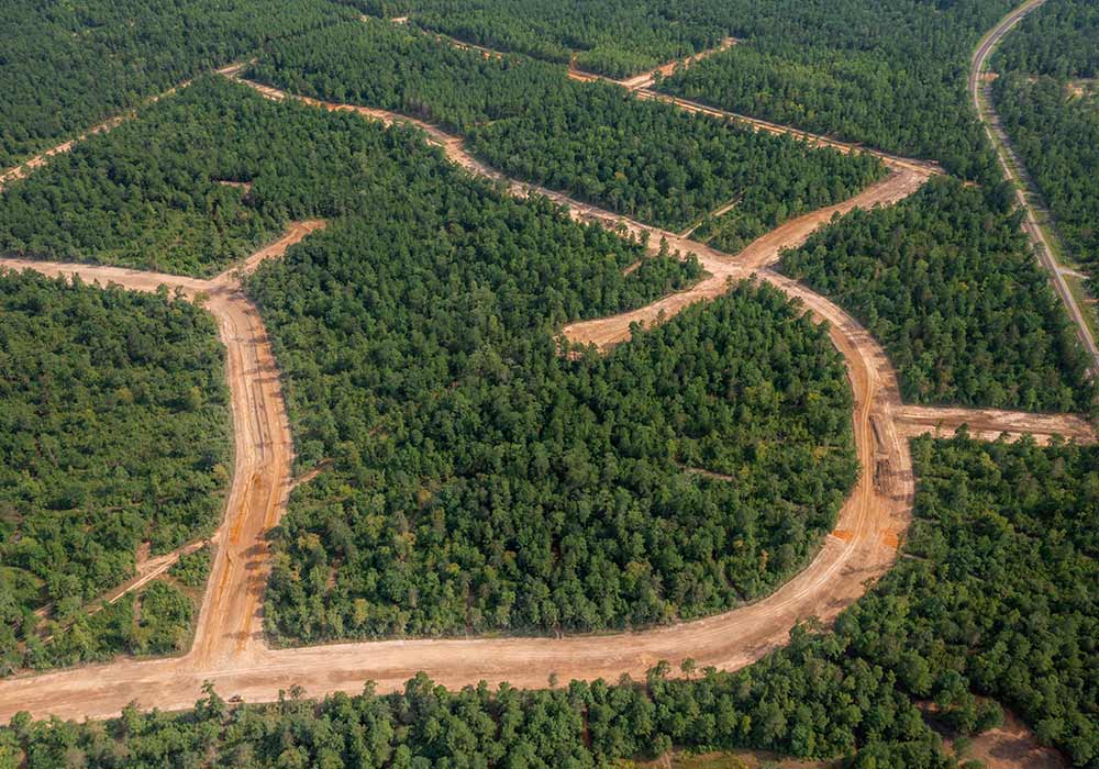 Deer Forest - Scenic Acreage Grounds & Topography