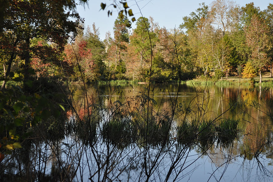 Emerald Lakes - Community Amenity & Water Features