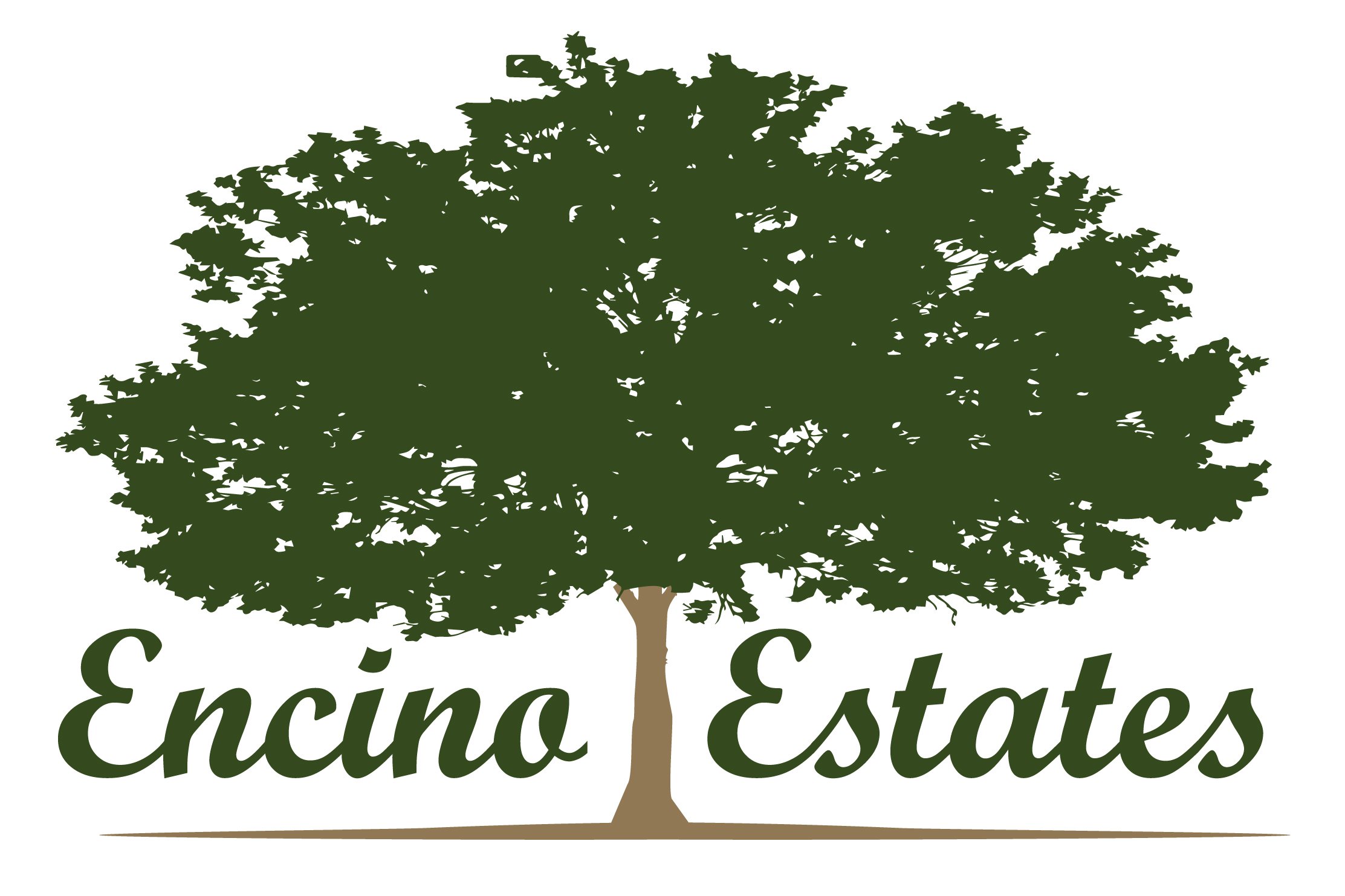 Encino Estates - Custom Builder Architecture