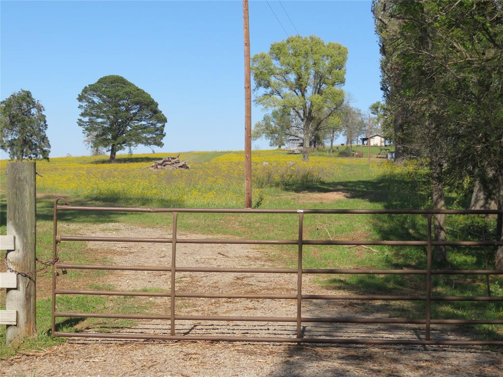 Saddle Creek Forest
